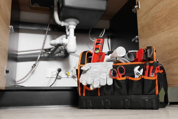 Best Local Plumber Services  in Pullman, WA